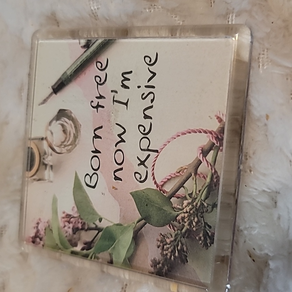 Set Of 7 Assorted Decorative Magnets - Picture 8 of 8